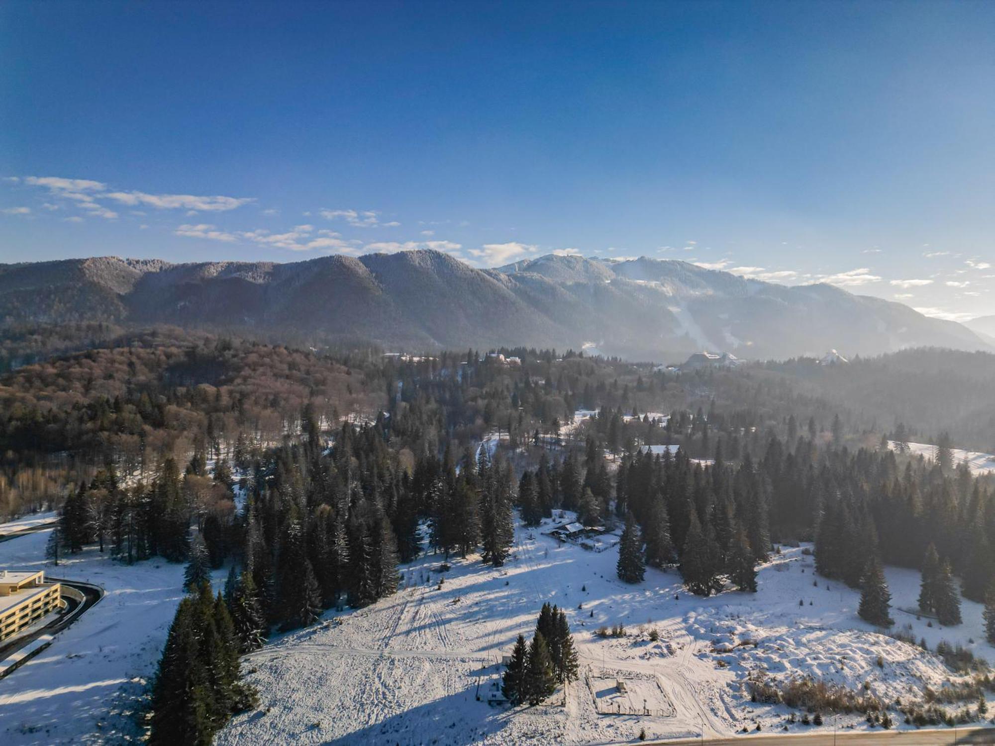 Albert Residence Aparthotel Grand Chalet With Free Spa Access To Alpin Resort โปยานาบราซอฟ ภายนอก รูปภาพ